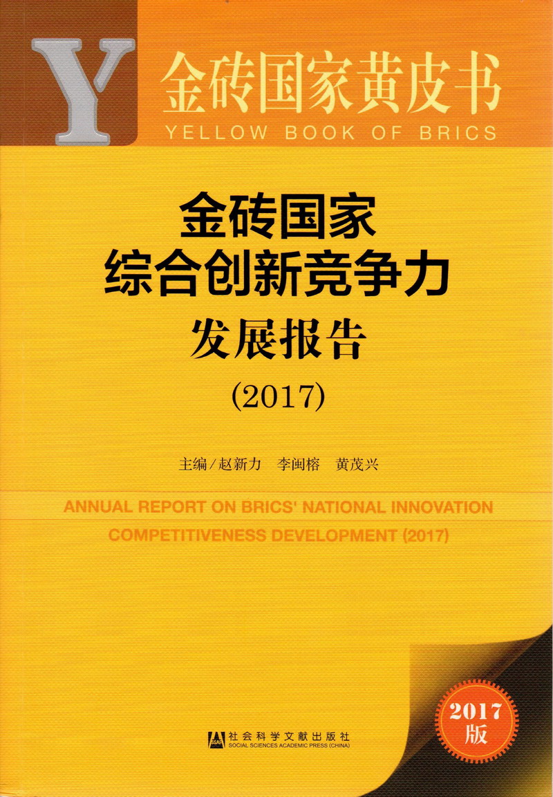 免费观看老阿姨好屌色网站视频金砖国家综合创新竞争力发展报告（2017）